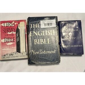 3 Book Religious Lot Inc A Brief Survey of the Bible And The Amplified Testament